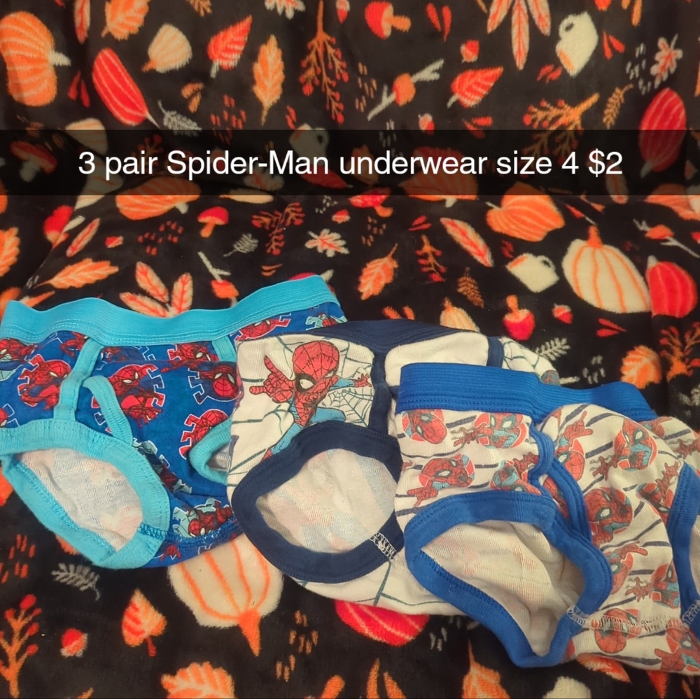 24 pairs 4t underwear